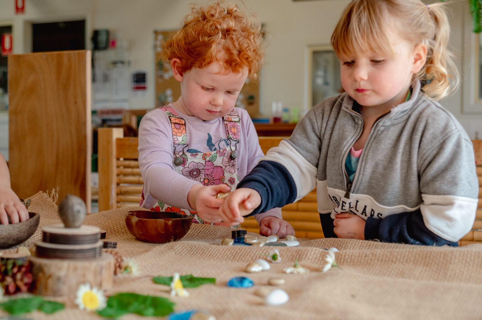 kindergarten-kindergarten-near-me-kindy-near-me-funded-kindergarten